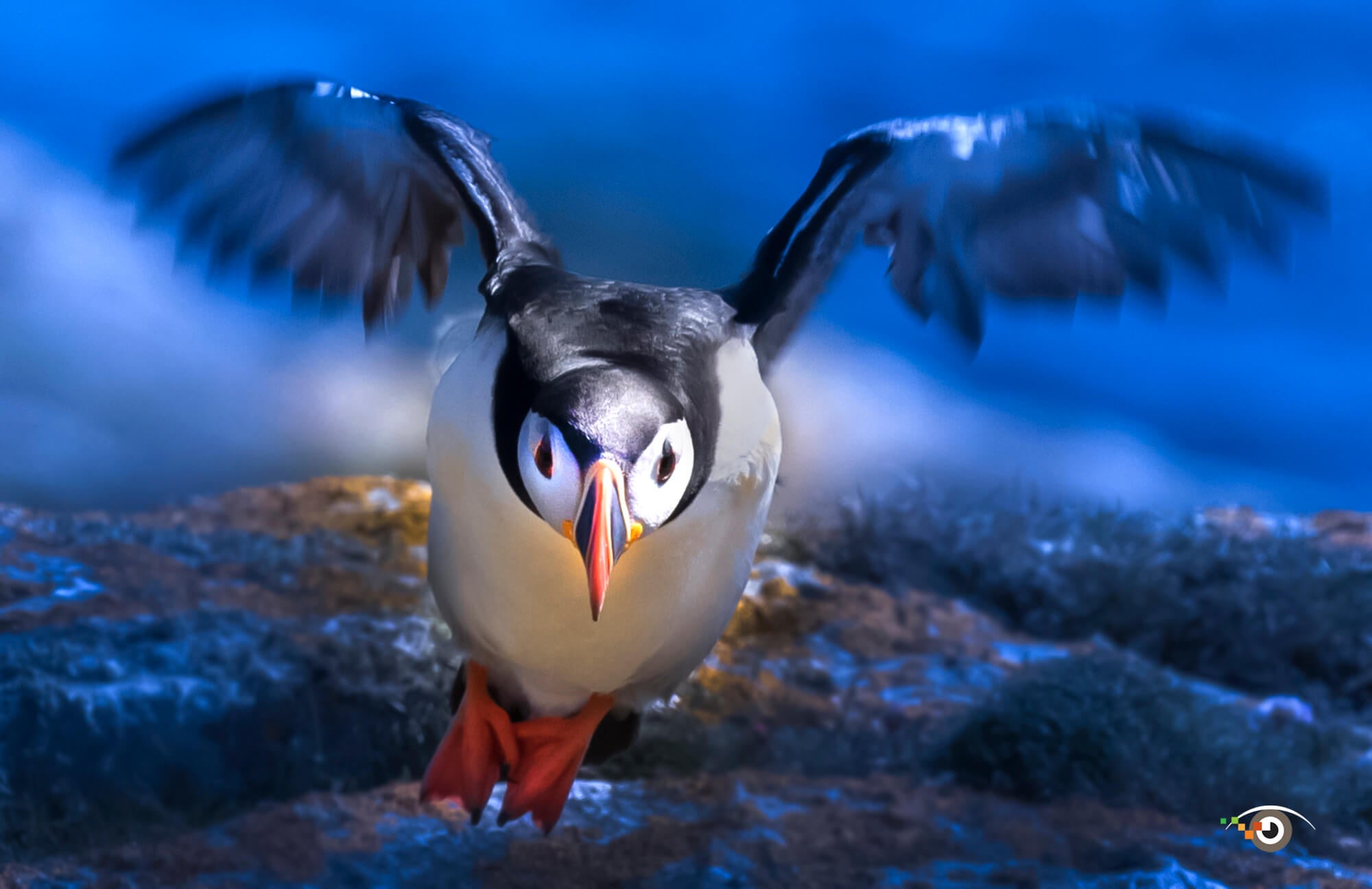 Rick Sammon Bird Photo